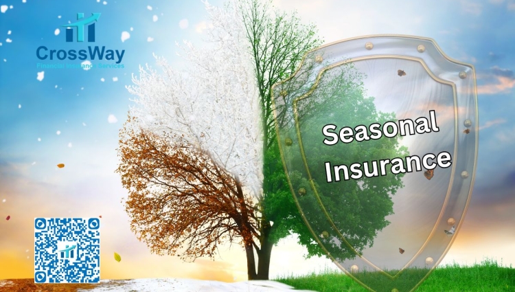 The Essential Guide to Seasonal Insurance